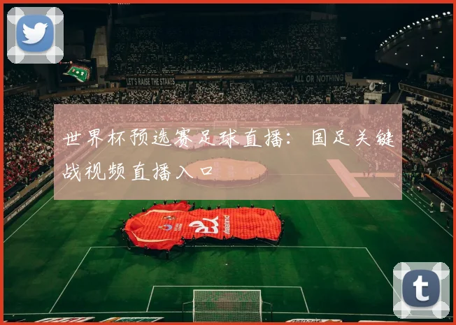 世界杯预选赛足球直播：国足关键战视频直播入口