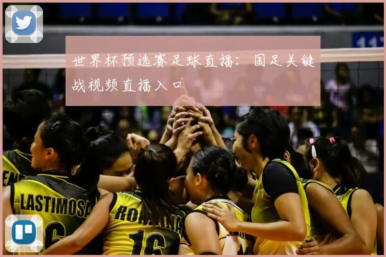 世界杯预选赛足球直播：国足关键战视频直播入口