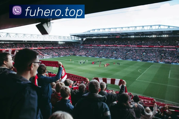 开云在线登陆入口平台生态图